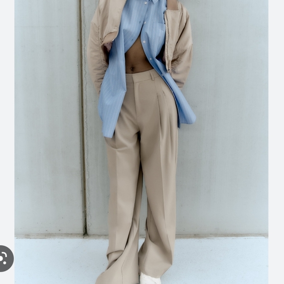 Zara Pleated Pants Wide Leg - Picture 4 of 7